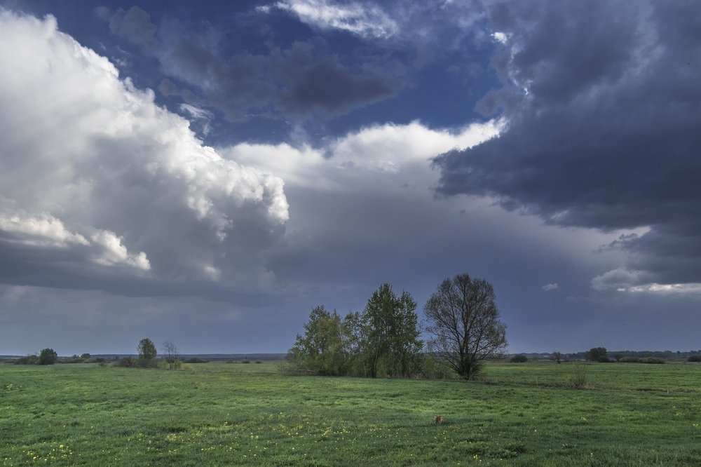 Перед бурей