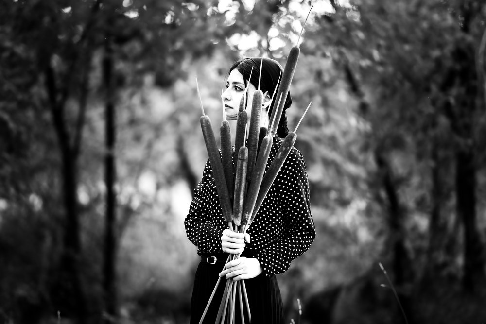 Photograph by  kaveh manafzadeh