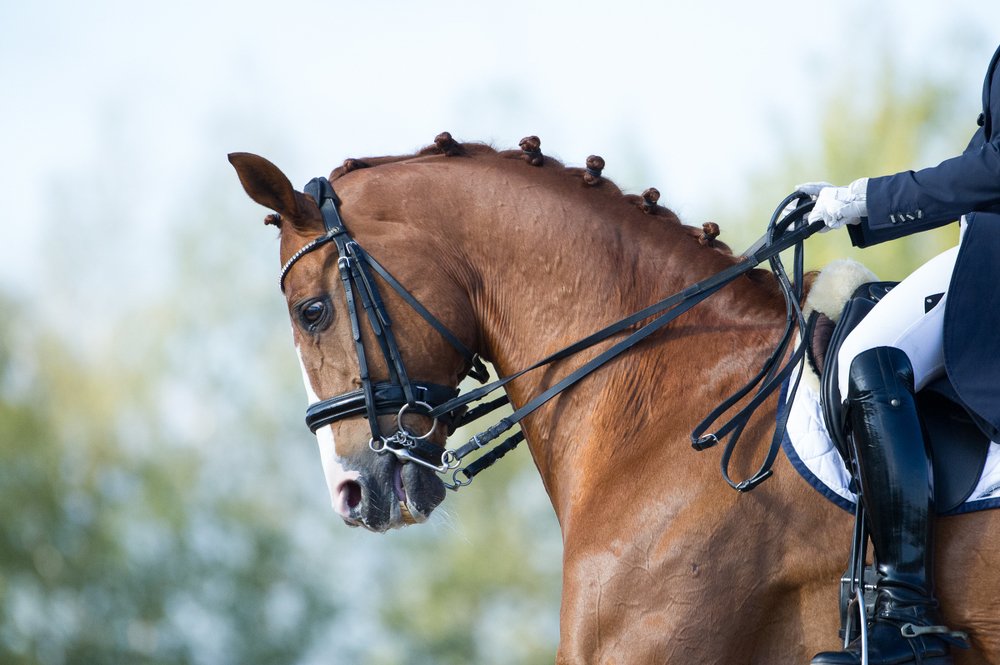 Фотография автора Ольга Руднева