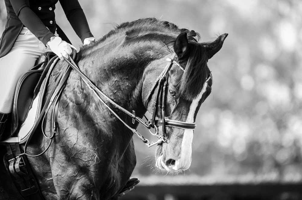 Фотография автора Ольга Руднева