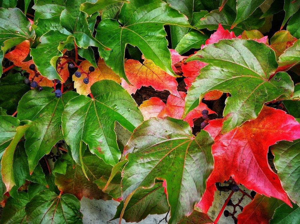 Photograph by Yurii Vashchenko