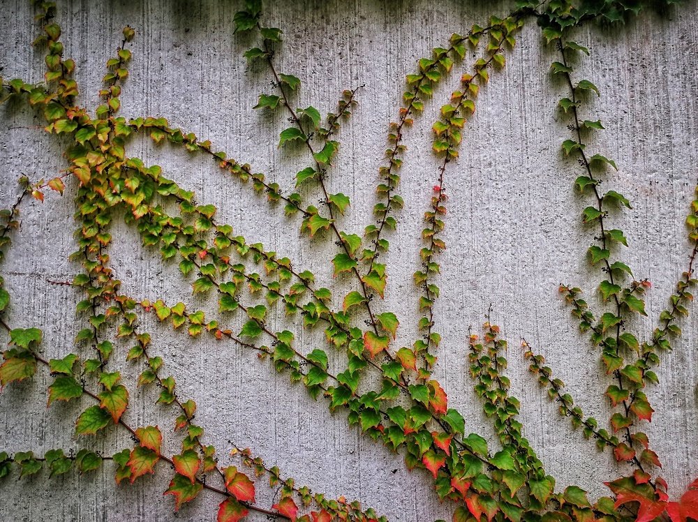 Photograph by Yurii Vashchenko