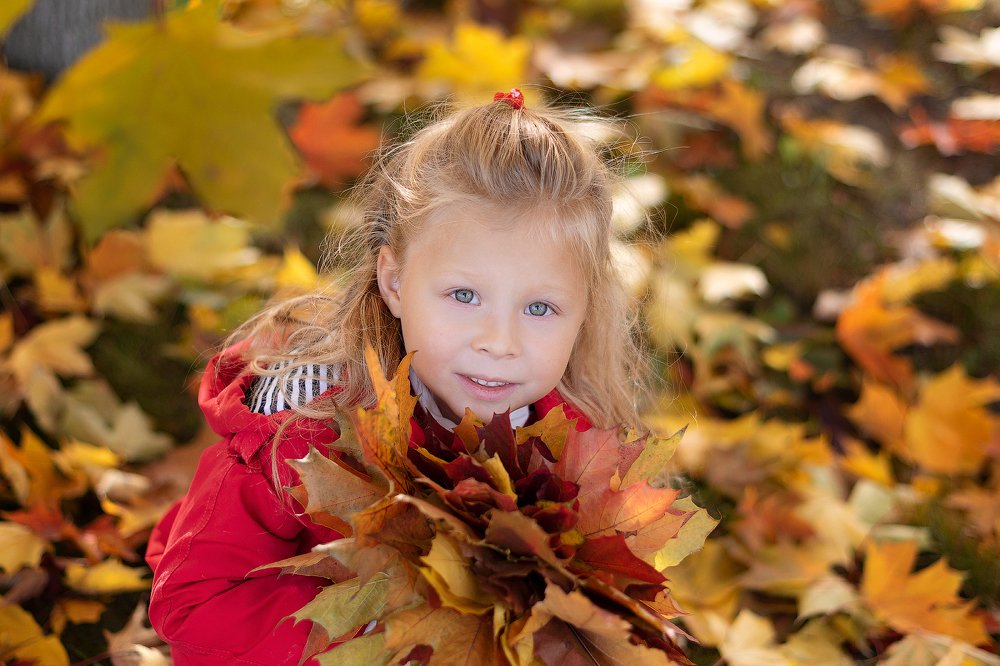 Кленовые краски