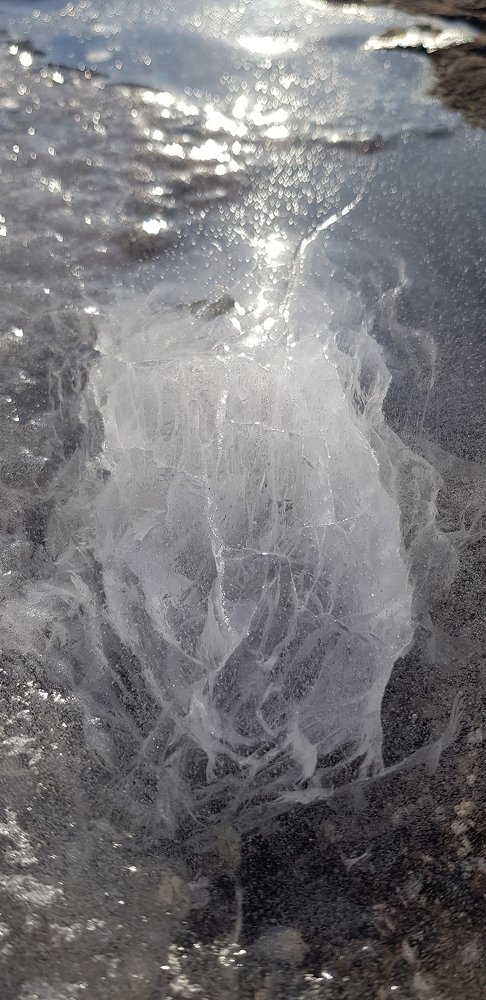 Photograph by Elisabeth Vinther