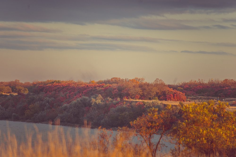 Фотография автора Ольга Осипова