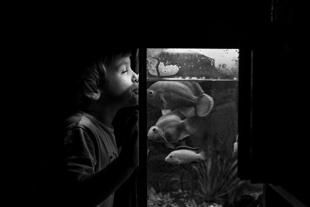 Photograph by Ирина Хромова