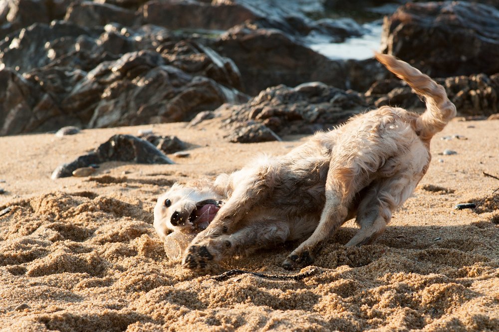 Безумству нет предела