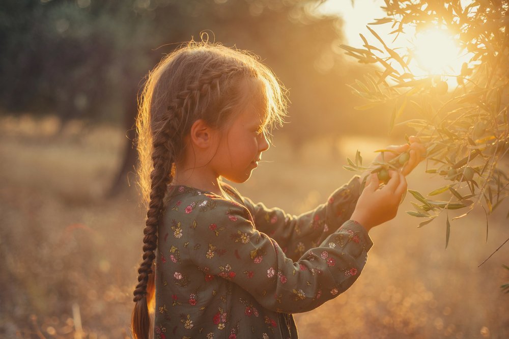 Собирательница оливок