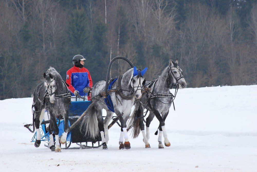 Фотография автора Наталья Липовская
