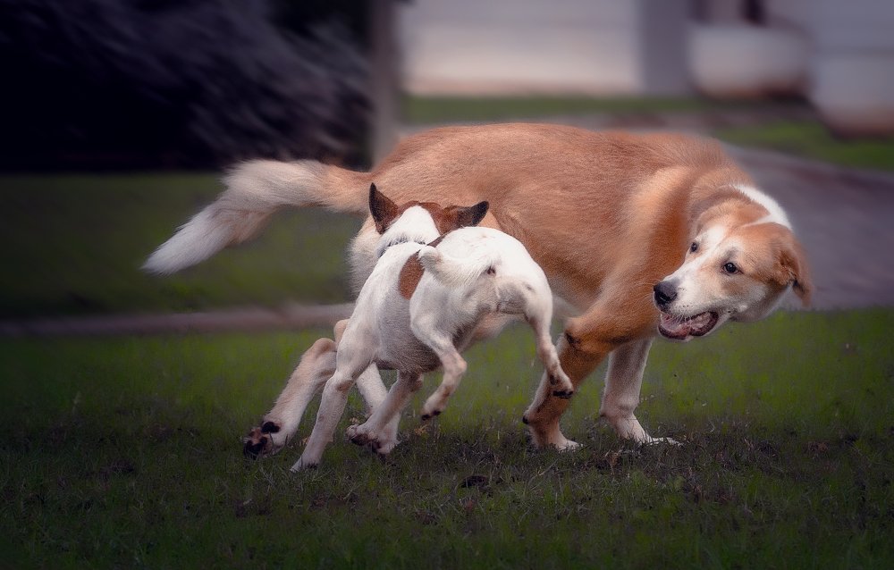 Photograph by Александр Бен Сандлер