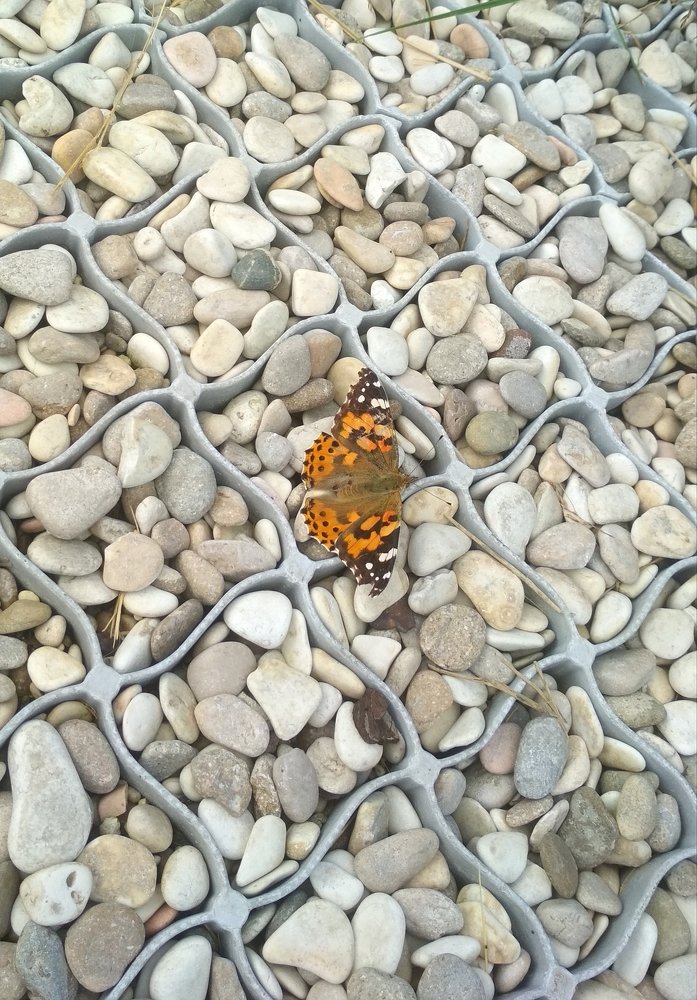 Photograph by Любовь Макарова