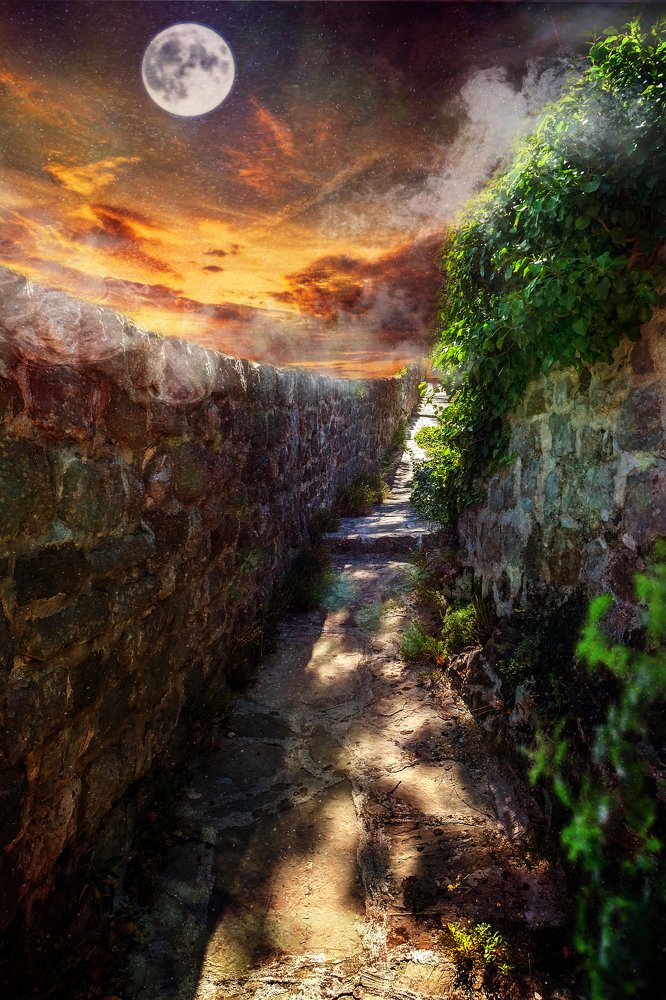 Road in the clouds