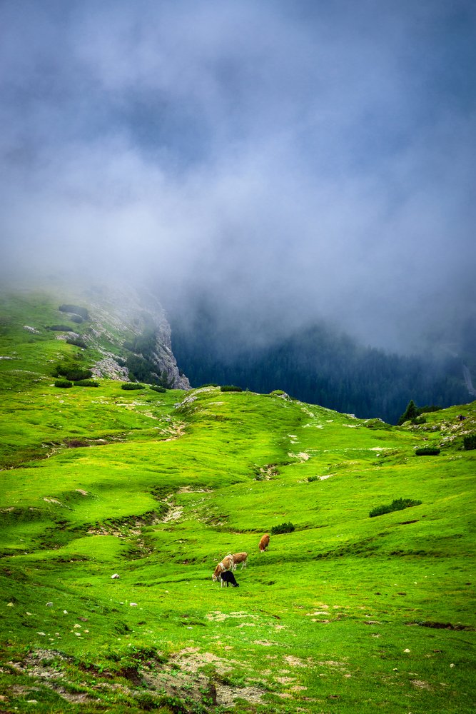 Фотография автора Martin Kovács