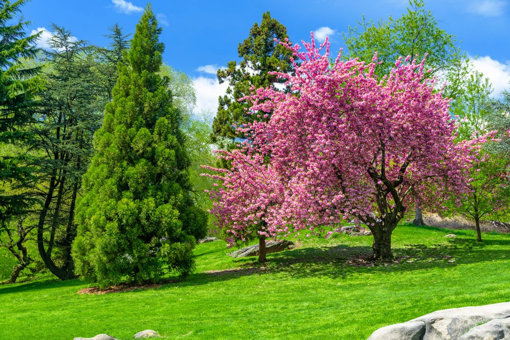 Фотография автора Martin Kovács