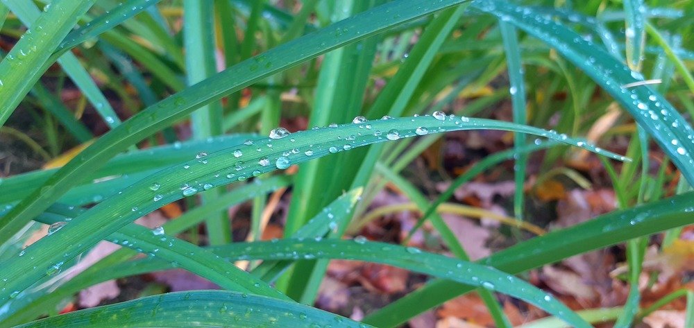 Photograph by Любовь Макарова