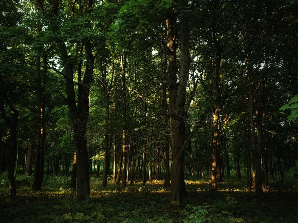 Photograph by Владимир Бакалов