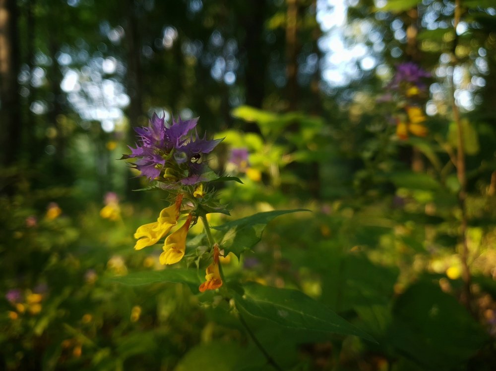 Photograph by Владимир Бакалов