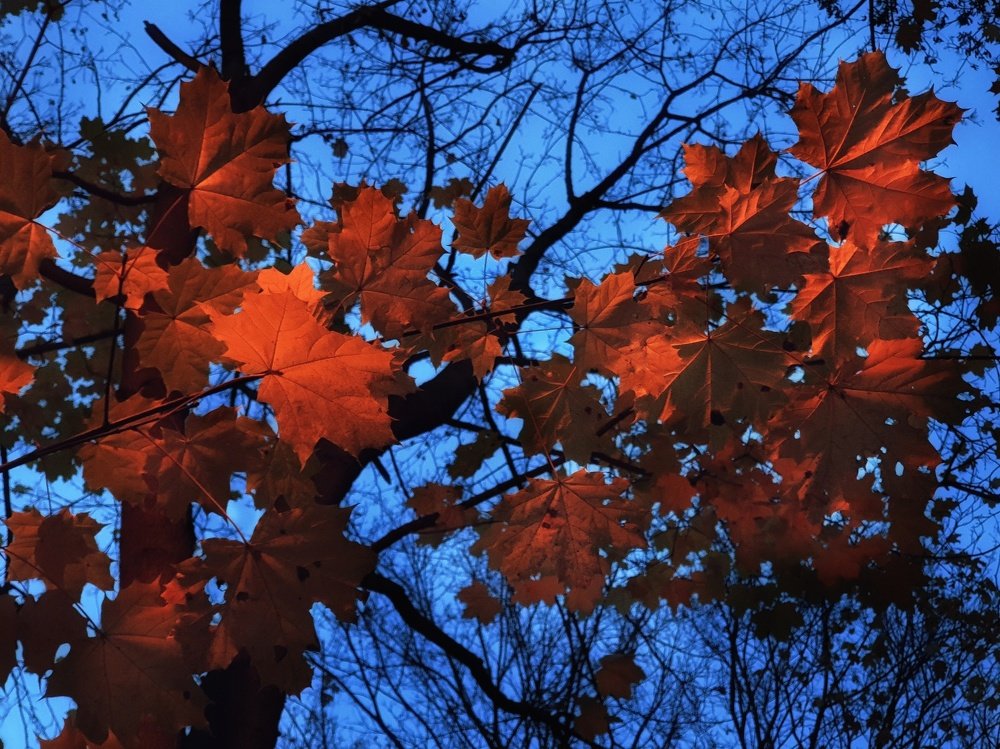 Photograph by Владимир Бакалов