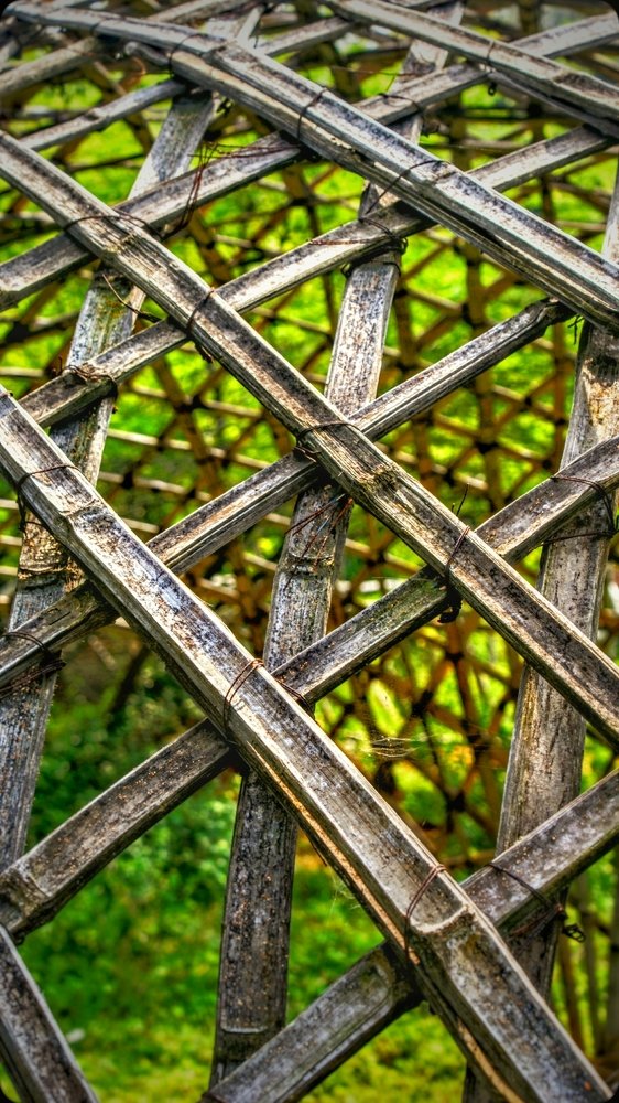 Photograph by Sai udeep sagar Yadalla