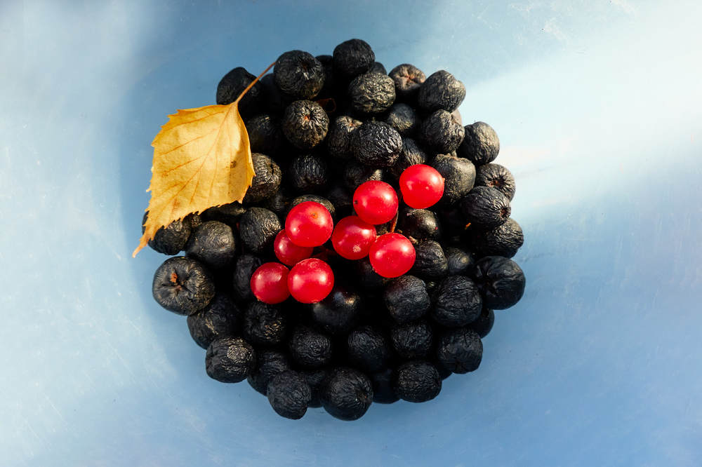 Photograph by Владимир