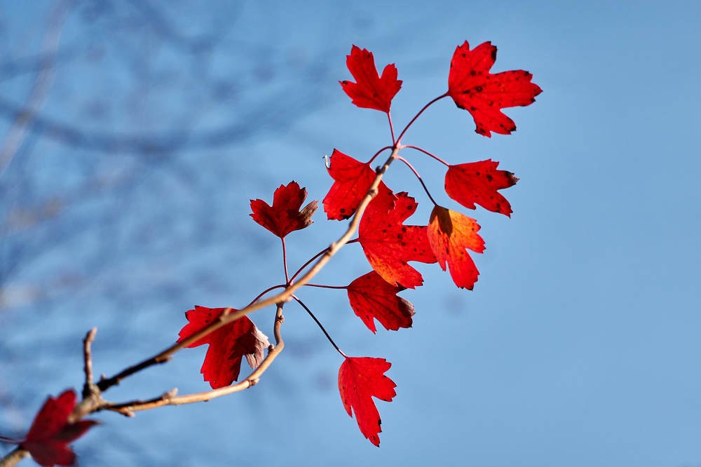 Photograph by Владимир