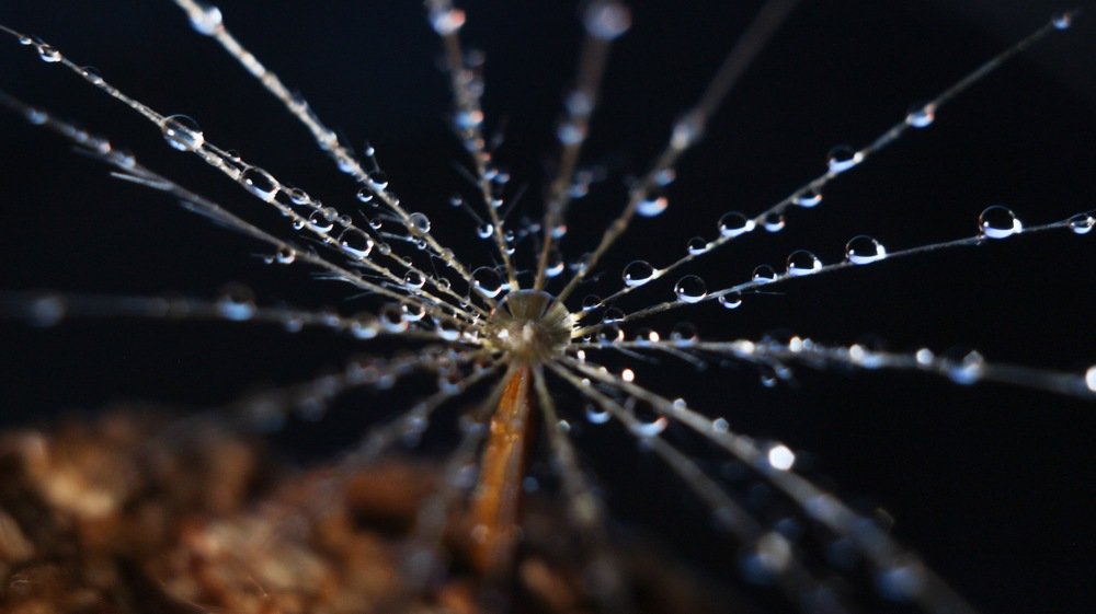 Украшения для парашютика