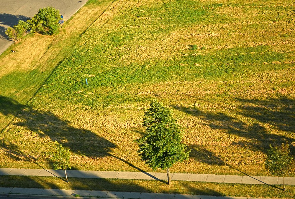 Photograph by Liliana Grup