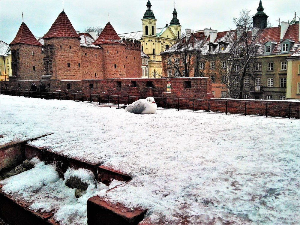 Photograph by Viktoriia Shtefanesa