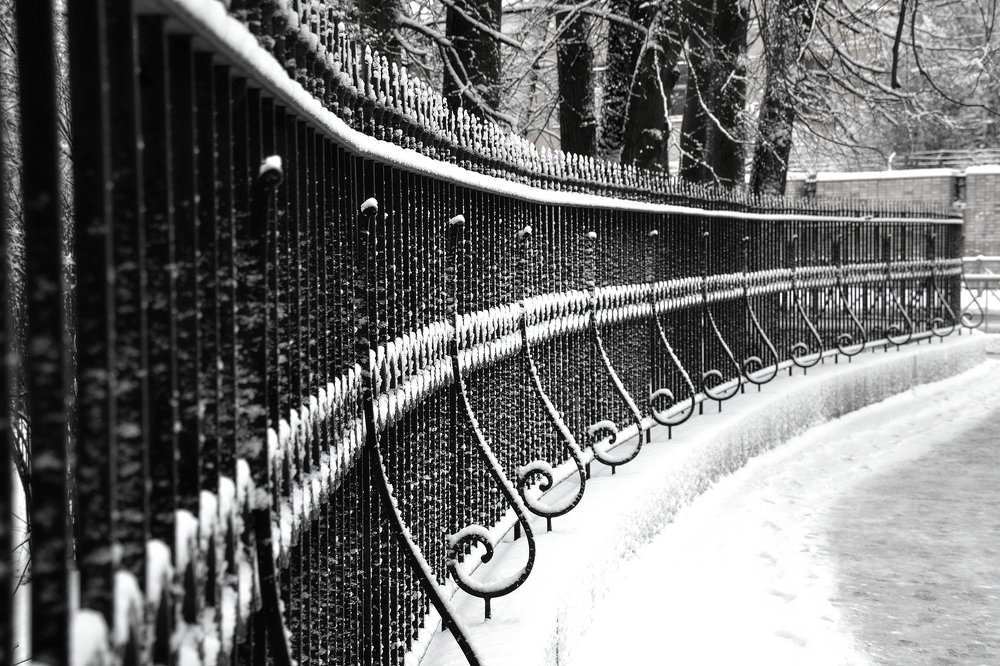 Photograph by Елена Боржковская