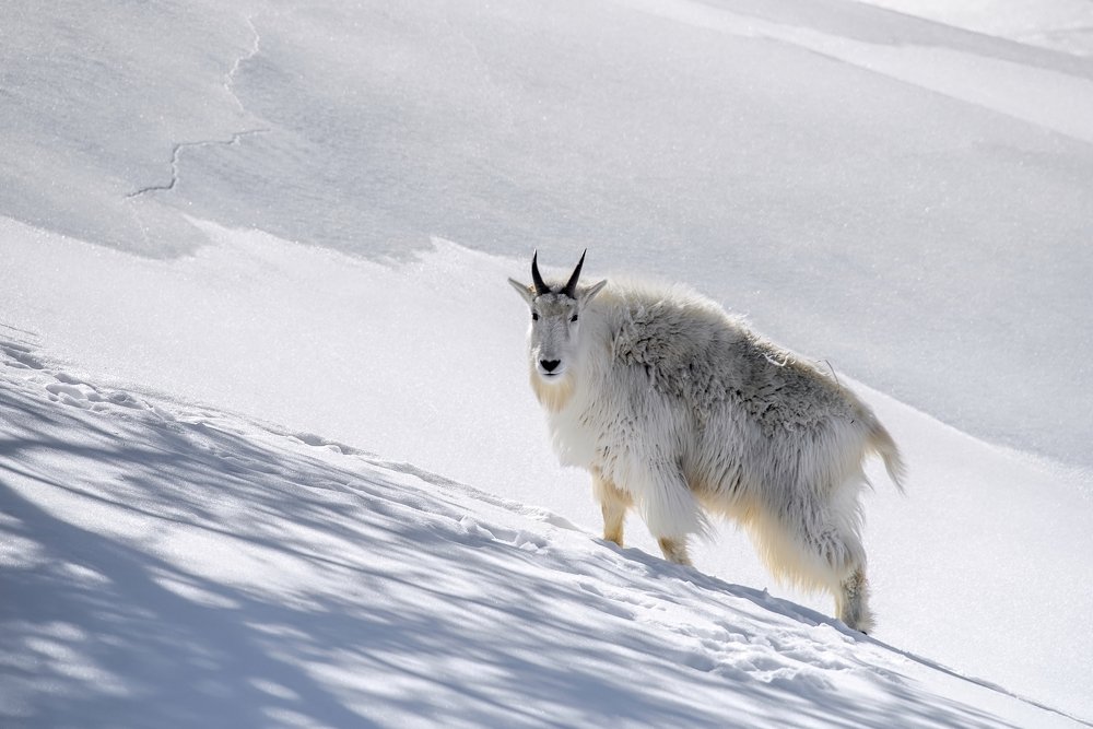 Photograph by Marc-Alain Ferragne