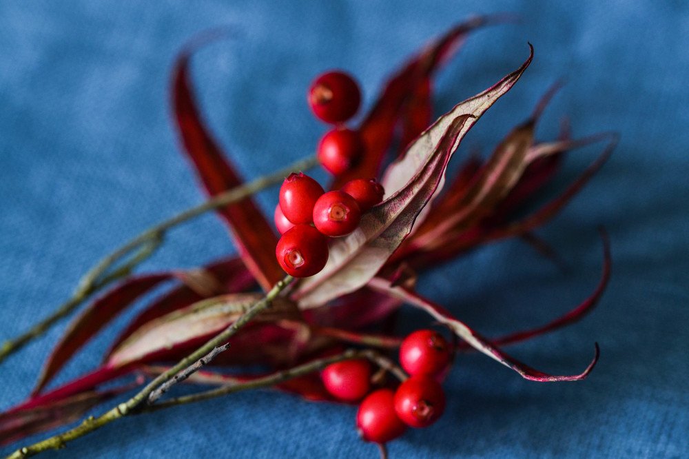 Photograph by Елена Боржковская