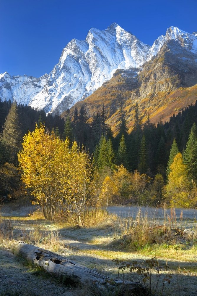 Осеннее утро