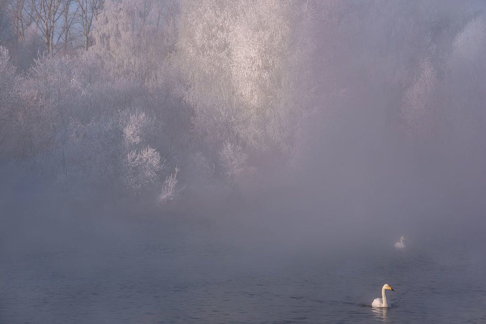 Photograph by Iri_sha