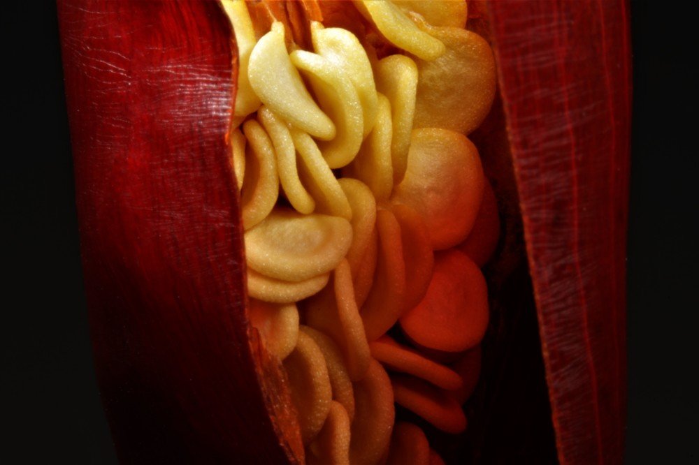 Photograph by Jurga Siauciuniene