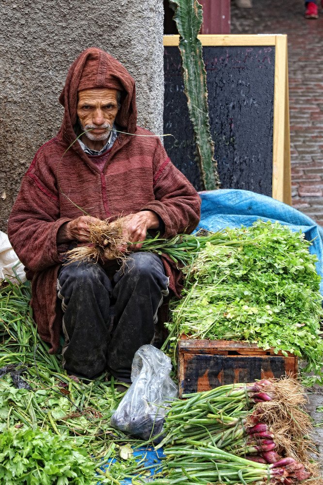 Photograph by Владимир Леликов