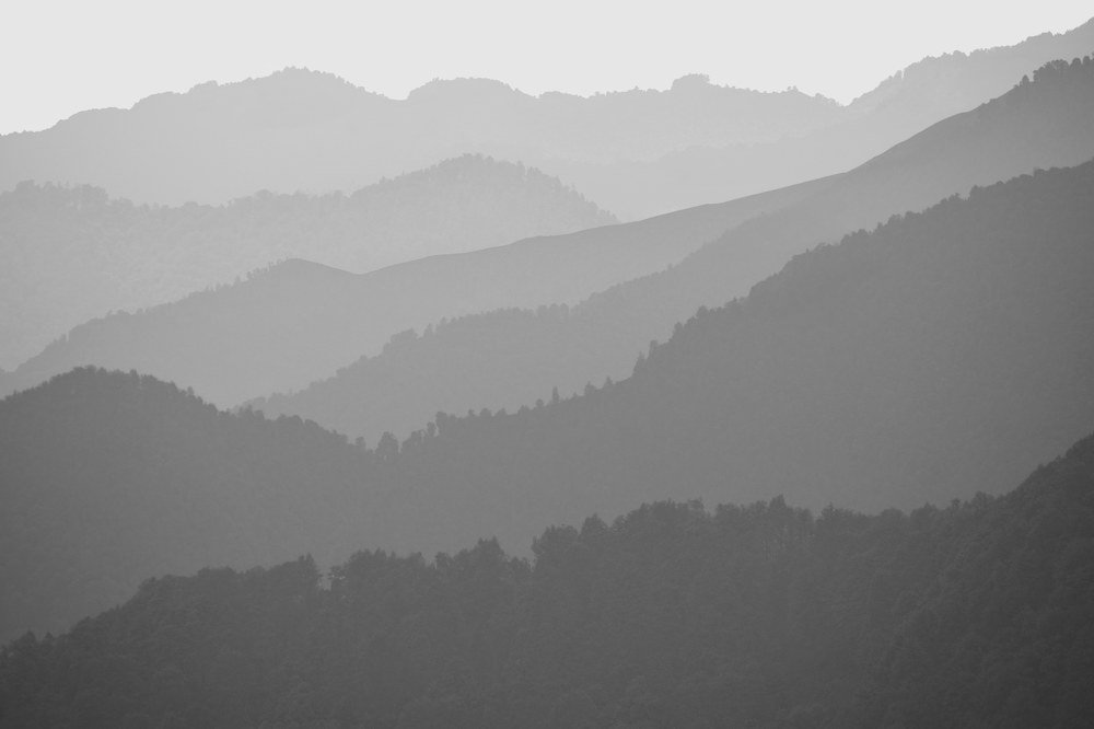 Photograph by  Farshid