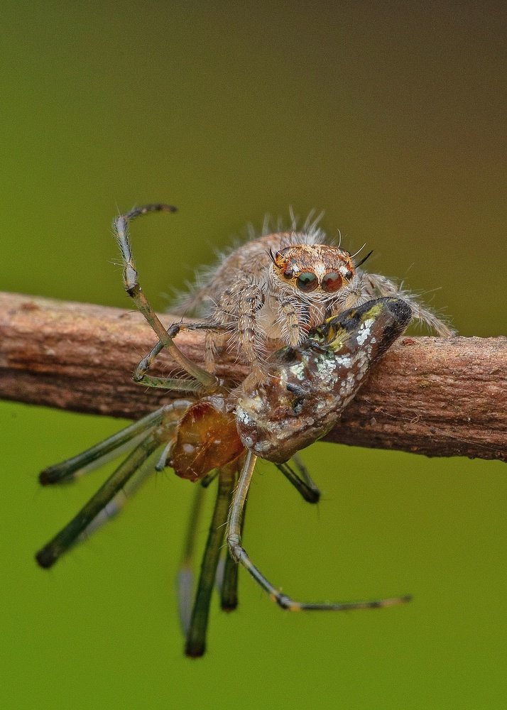 Photograph by Soujanya Bhadra