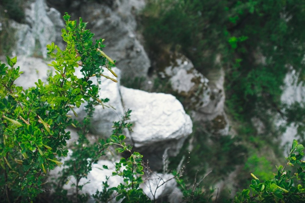 Photograph by Эльвира Суслова