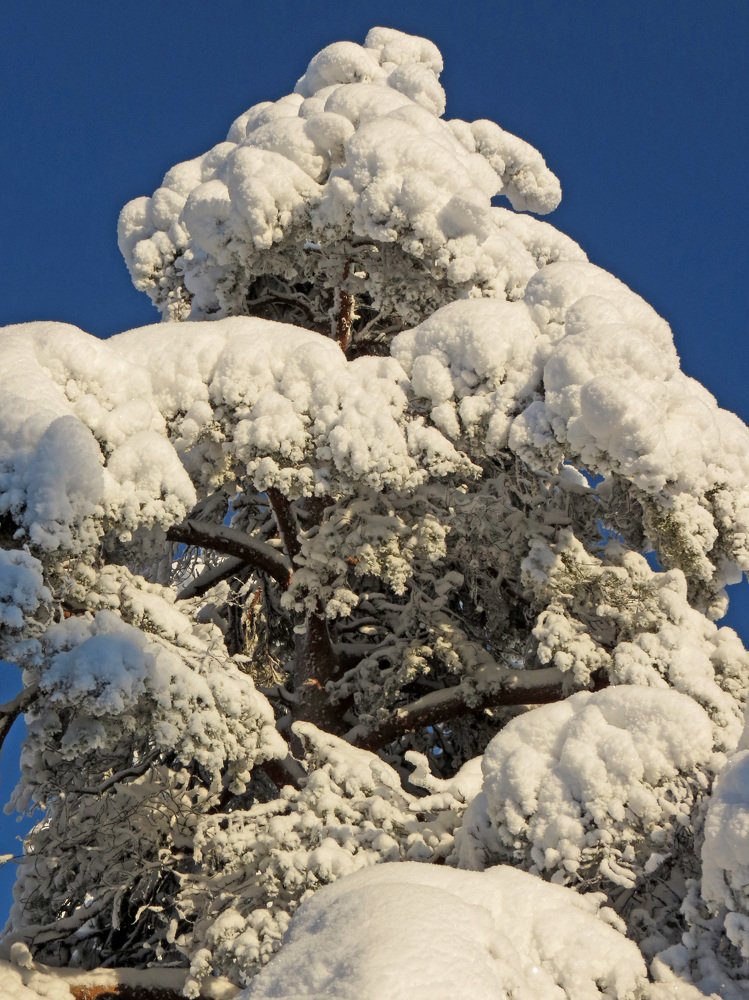 Photograph by Илья Сандлер