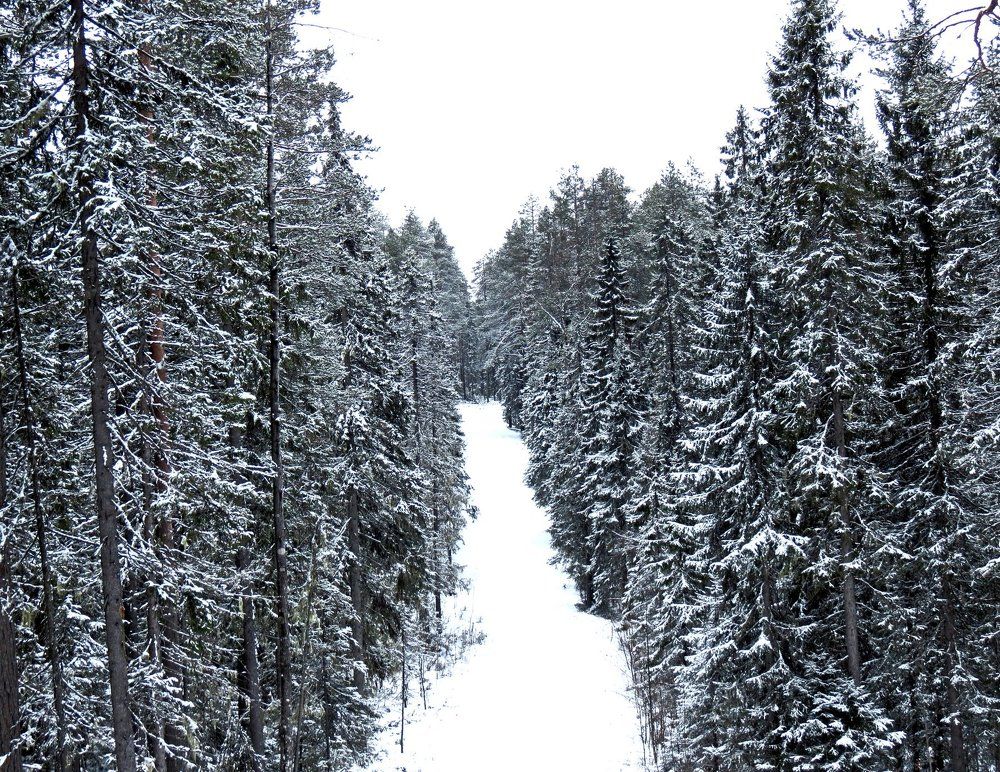 Photograph by Илья Сандлер