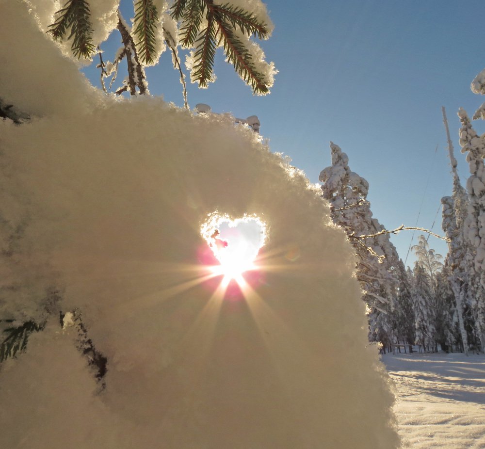 Photograph by Илья Сандлер