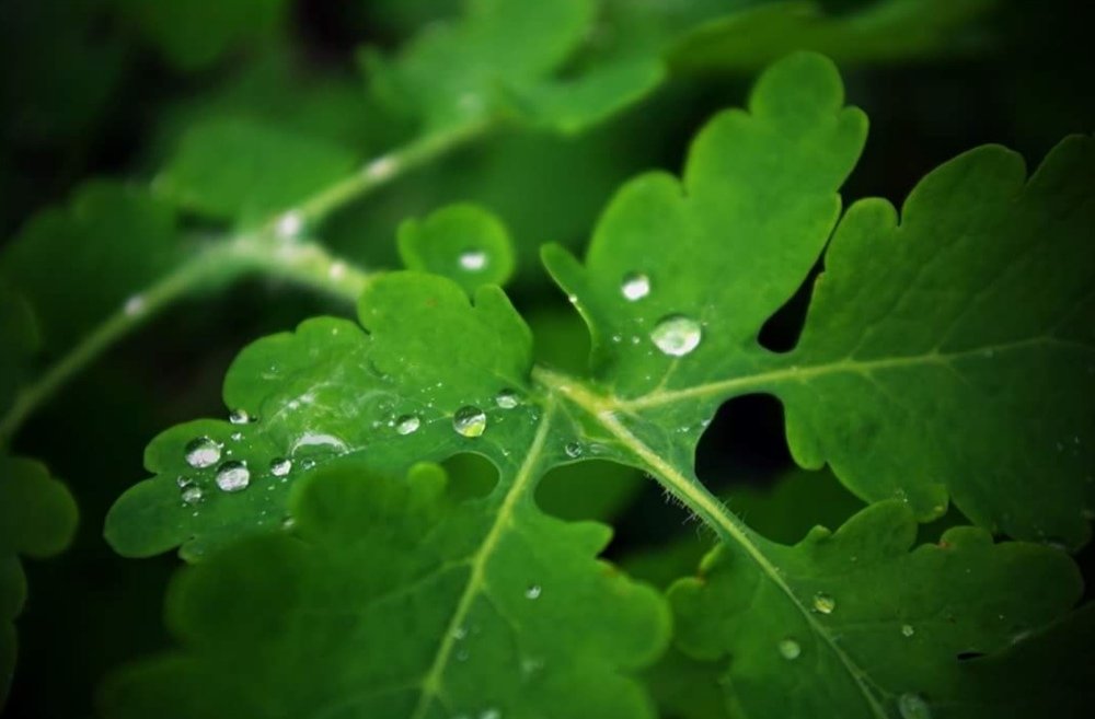 Photograph by Иванна Русын