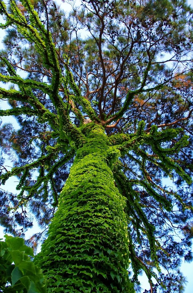 Photograph by Иванна Русын