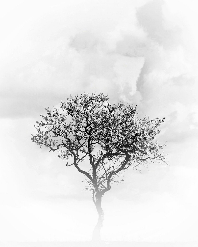 Photograph by Bahmani Arian