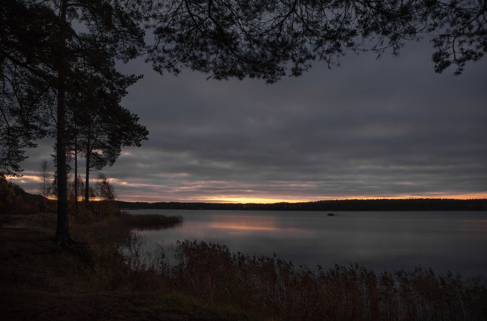 Перед рассветом