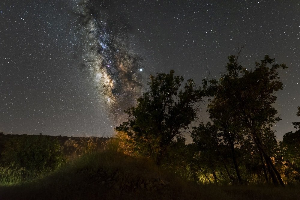 Photograph by Mohammad Shaygan