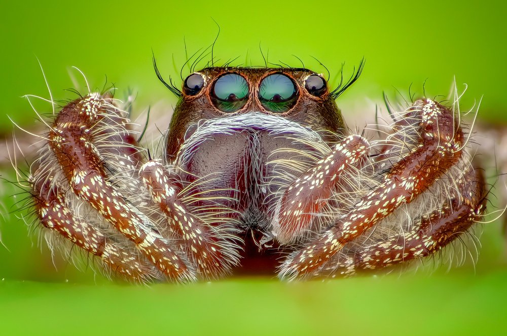 Photograph by Effendi Husni