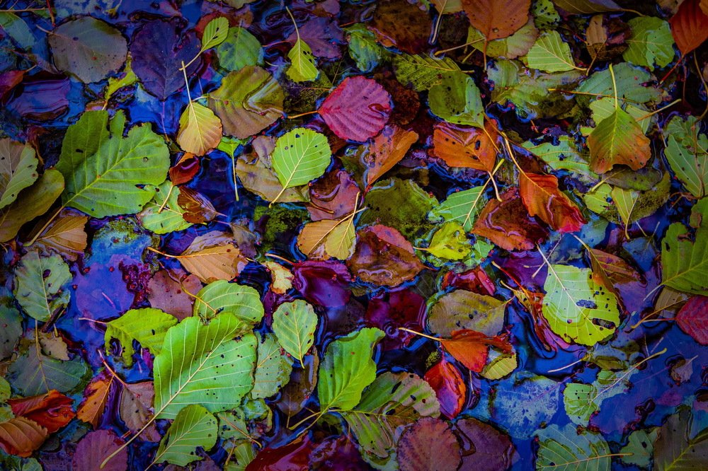 Photograph by петр чиков