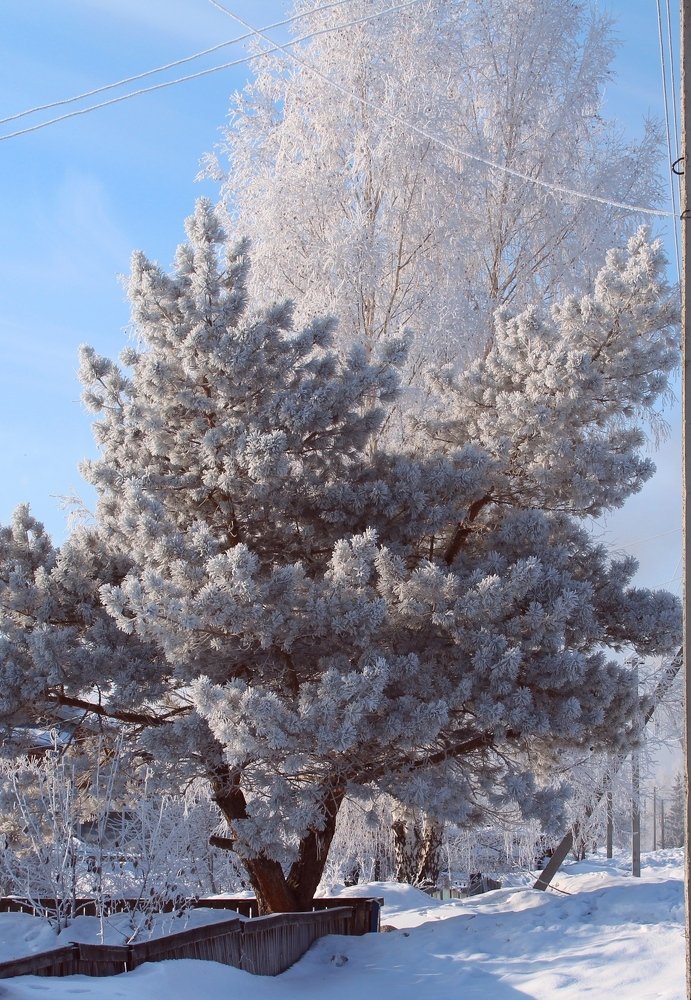 Photograph by Андрей Казанкин
