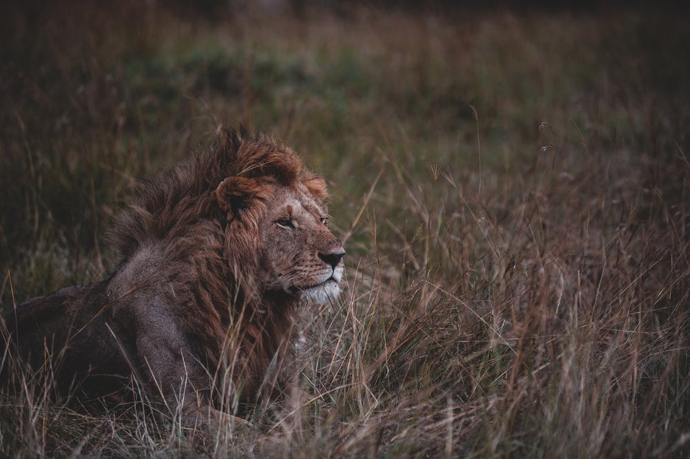 Photograph by Kathan Patel